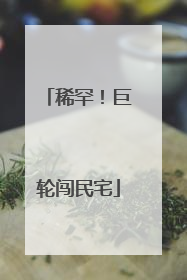 稀罕！巨轮闯民宅