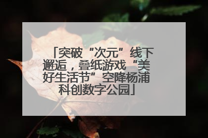 突破“次元”线下邂逅，叠纸游戏“美好生活节”空降杨浦科创数字公园