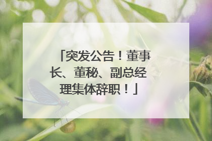 突发公告！董事长、董秘、副总经理集体辞职！