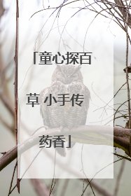 童心探百草 小手传药香