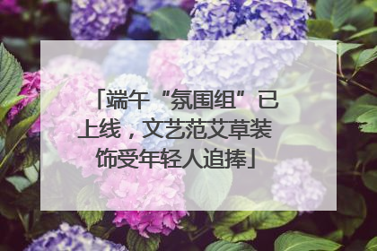 端午“氛围组”已上线，文艺范艾草装饰受年轻人追捧