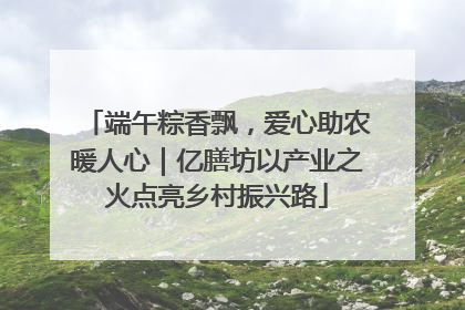 端午粽香飘，爱心助农暖人心｜亿膳坊以产业之火点亮乡村振兴路
