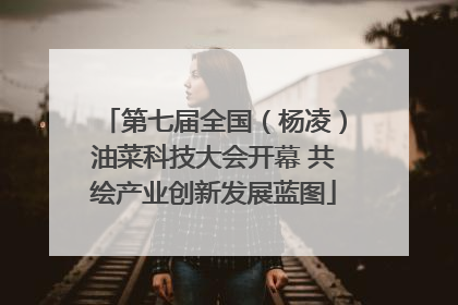 第七届全国（杨凌）油菜科技大会开幕 共绘产业创新发展蓝图