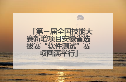 第三届全国技能大赛新增项目安徽省选拔赛“软件测试”赛项圆满举行