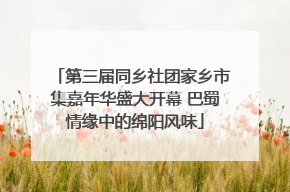 第三届同乡社团家乡市集嘉年华盛大开幕 巴蜀情缘中的绵阳风味