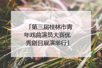 第三届桂林市青年戏曲演员大赛优秀剧目展演举行