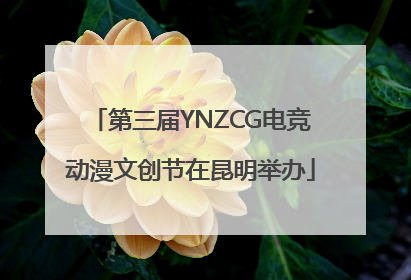 第三届YNZCG电竞动漫文创节在昆明举办
