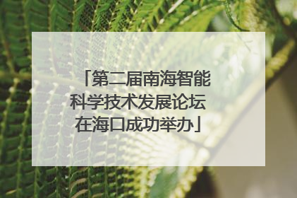 第二届南海智能科学技术发展论坛在海口成功举办