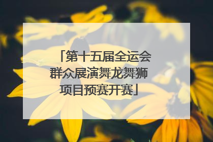 第十五届全运会群众展演舞龙舞狮项目预赛开赛