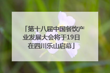 第十八届中国餐饮产业发展大会将于19日在四川乐山启幕