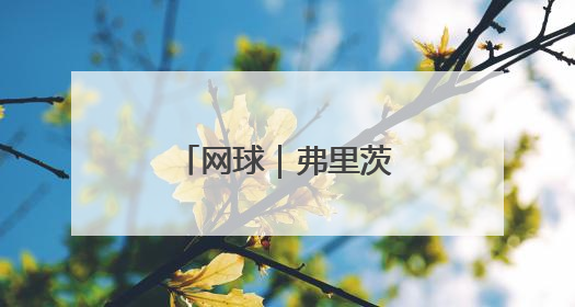 网球｜弗里茨夺得斯图加特公开赛男单冠军