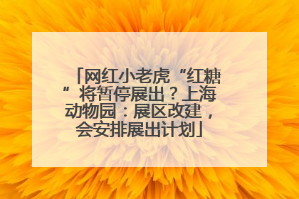 网红小老虎“红糖”将暂停展出？上海动物园：展区改建，会安排展出计划