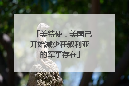 美特使：美国已开始减少在叙利亚的军事存在