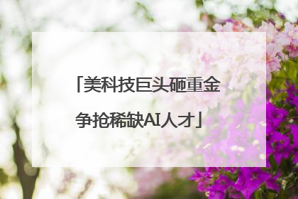 美科技巨头砸重金争抢稀缺AI人才