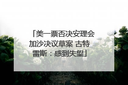 美一票否决安理会加沙决议草案 古特雷斯：感到失望