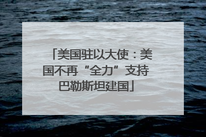 美国驻以大使：美国不再“全力”支持巴勒斯坦建国