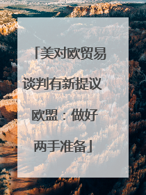 美对欧贸易谈判有新提议 欧盟：做好两手准备