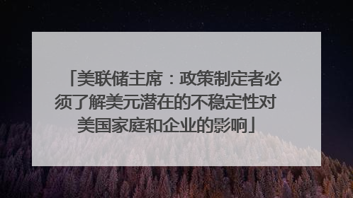 美联储主席：政策制定者必须了解美元潜在的不稳定性对美国家庭和企业的影响