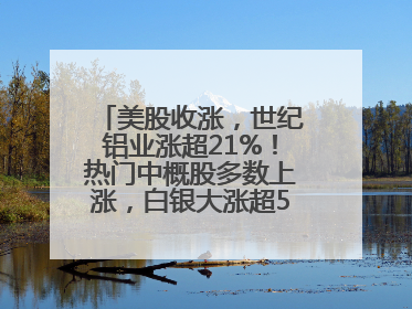 美股收涨，世纪铝业涨超21%！热门中概股多数上涨，白银大涨超5%，金油“涨”疯了！美联储官员最新表态