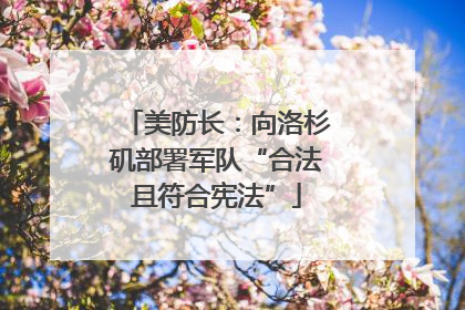 美防长：向洛杉矶部署军队“合法且符合宪法”
