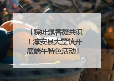 粽叶飘香凝共识！淳安县大墅镇开展端午特色活动