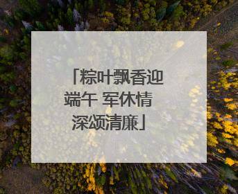 粽叶飘香迎端午 军休情深颂清廉