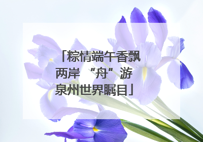 粽情端午香飘两岸 “舟”游泉州世界瞩目