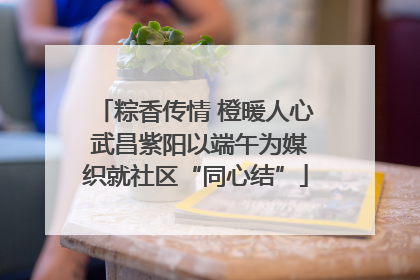粽香传情 橙暖人心 武昌紫阳以端午为媒织就社区“同心结”