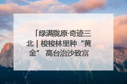 绿满陇原·奇迹三北｜梭梭林里种“黄金” 高台治沙致富很“从容”