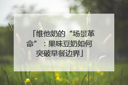 维他奶的“场景革命”：果味豆奶如何突破早餐边界