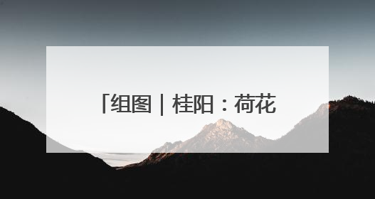 组图｜桂阳：荷花悄然绽放 碧波荷叶绘就美好夏日画卷