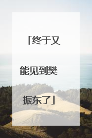 终于又能见到樊振东了