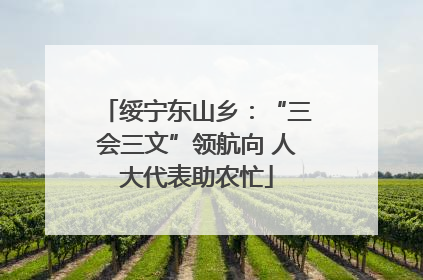 绥宁东山乡：“三会三文”领航向 人大代表助农忙