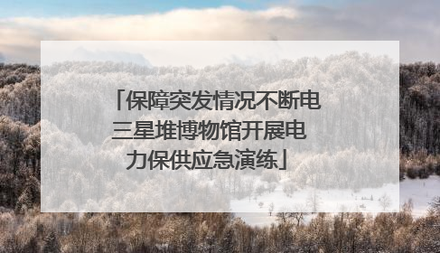 保障突发情况不断电 三星堆博物馆开展电力保供应急演练