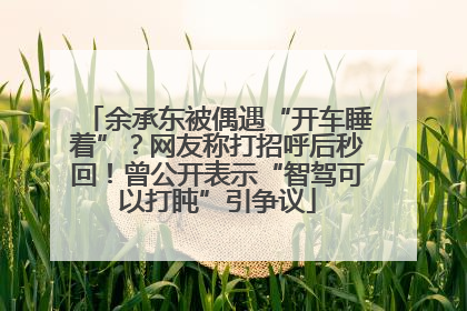 余承东被偶遇“开车睡着”？网友称打招呼后秒回！曾公开表示“智驾可以打盹”引争议