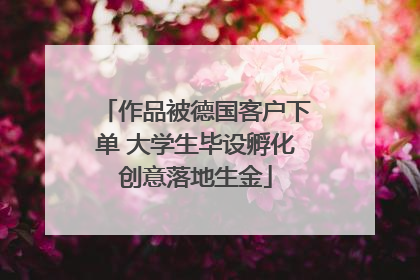 作品被德国客户下单 大学生毕设孵化创意落地生金