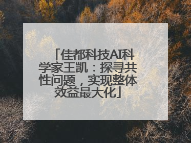 佳都科技AI科学家王凯：探寻共性问题，实现整体效益最大化