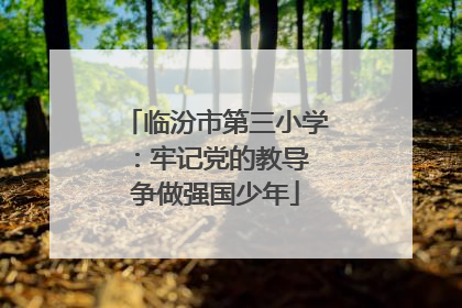 临汾市第三小学：牢记党的教导 争做强国少年