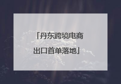 丹东跨境电商出口首单落地