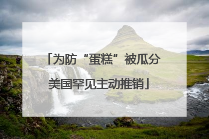 为防“蛋糕”被瓜分 美国罕见主动推销