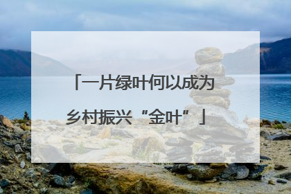 一片绿叶何以成为乡村振兴“金叶”