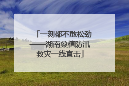 一刻都不敢松劲——湖南桑植防汛救灾一线直击