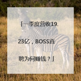 一季度营收19.23亿，BOSS直聘为何赚钱？