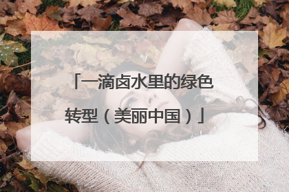 一滴卤水里的绿色转型（美丽中国）