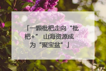 一颗枇杷走向“枇杷+” 山海资源成为“聚宝盆”