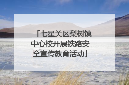 七星关区梨树镇中心校开展铁路安全宣传教育活动