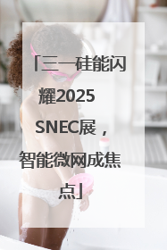 三一硅能闪耀2025 SNEC展，智能微网成焦点