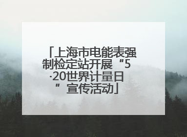 上海市电能表强制检定站开展“5·20世界计量日”宣传活动