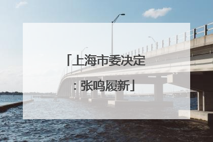 上海市委决定：张鸣履新