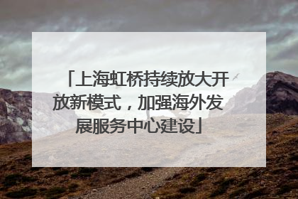 上海虹桥持续放大开放新模式，加强海外发展服务中心建设